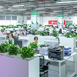 Customer Service Team